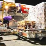 FedEx special cargo jet flown to hurricane-ravaged Florida & Caribbean