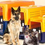 India's woes in transporting pets