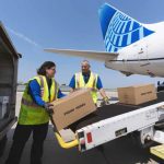 Keeping it Fresh: How Airlines Are Innovating Perishable Cargo Logistics